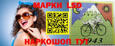 амф Бердск