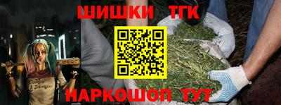 амф Бердск