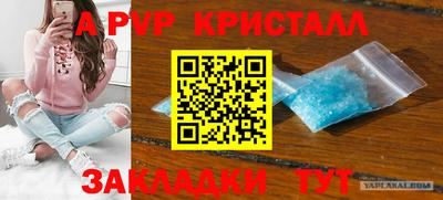 амф Бердск