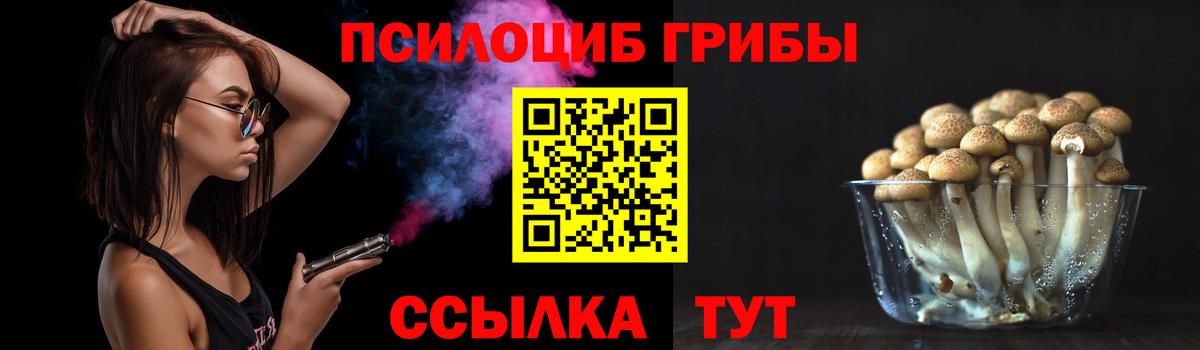 Псилоцибиновые грибы Psilocybine cubensis  Вход с VPN  Губкин  Псилоцибиновые грибы Cubensis 