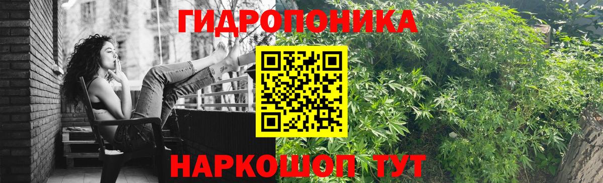 Бошки Шишки тримм  Конопля марихуана  Вход с VPN  Губкин  Бошки Шишки марихуана 